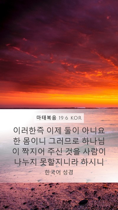 마태복음 19:6 KOR Mobile Phone Wallpaper - 이러한즉 이제 둘이 아니요 한 - Mobile Bible Verse Wallpaper