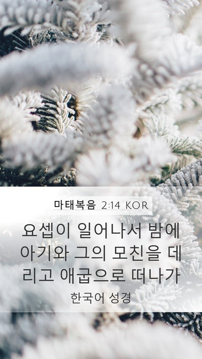 마태복음 2:14 KOR Mobile Phone Wallpaper - 요셉이 일어나서 밤에 아기와 그의 - Mobile Bible Verse Wallpaper