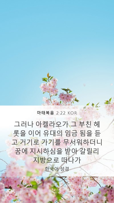 마태복음 2:22 KOR Mobile Phone Wallpaper - 그러나 아켈라오가 그 부친 헤롯을 - Mobile Bible Verse Wallpaper