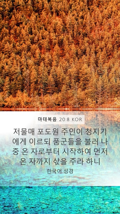 마태복음 20:8 KOR Bible Verse Image
