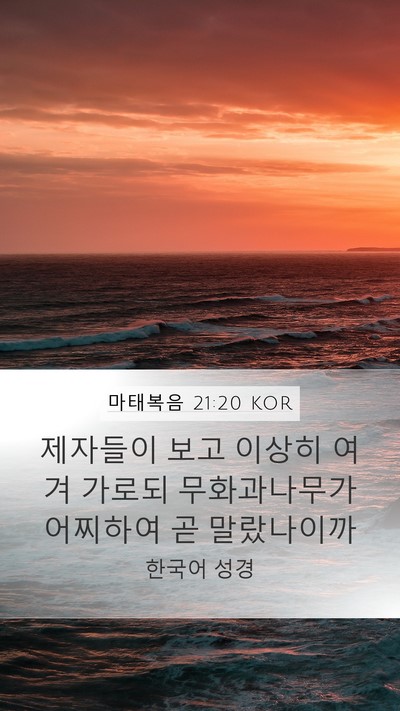 마태복음 21:20 KOR Mobile Phone Wallpaper - 제자들이 보고 이상히 여겨 가로되 - Mobile Bible Verse Wallpaper