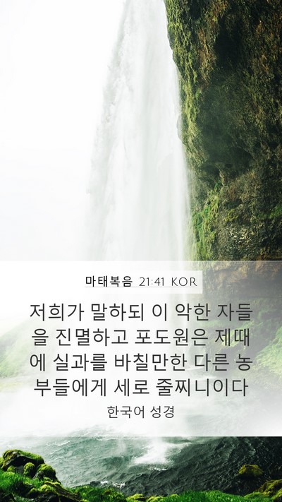 마태복음 21:41 KOR Bible Verse Image