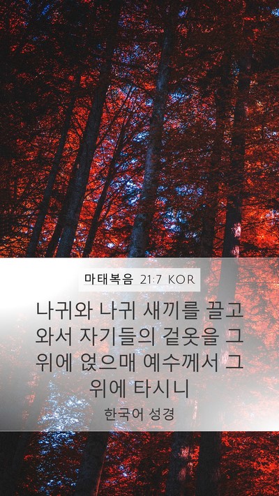 마태복음 21:7 KOR Bible Verse Image