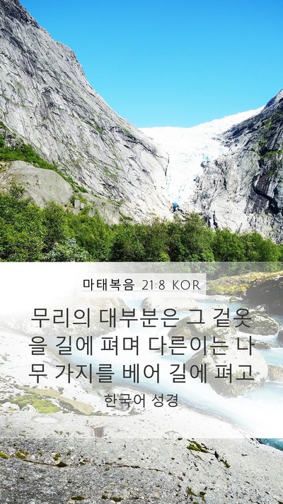 마태복음 21:8 KOR Bible Verse Image
