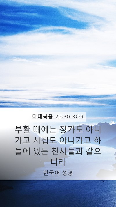 마태복음 22:30 KOR Bible Verse Image