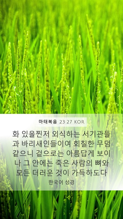 마태복음 23:27 KOR Bible Verse Image