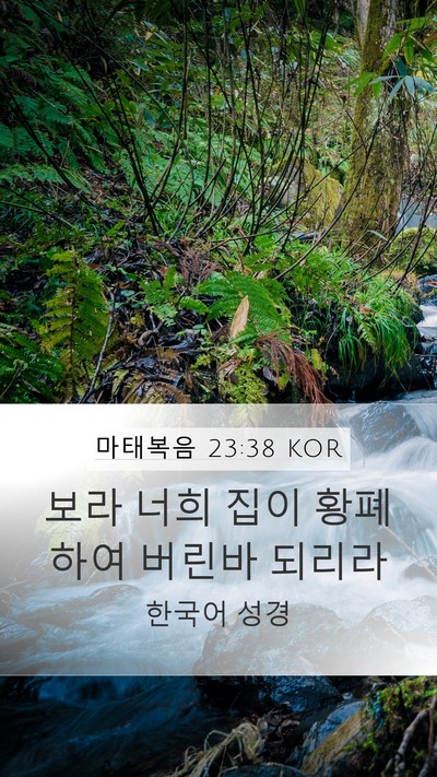 마태복음 23:38 KOR Bible Verse Image