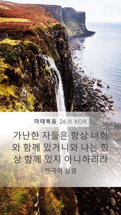 마태복음 26:11 KOR Bible Verse Image