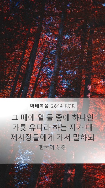마태복음 26:14 KOR Bible Verse Image