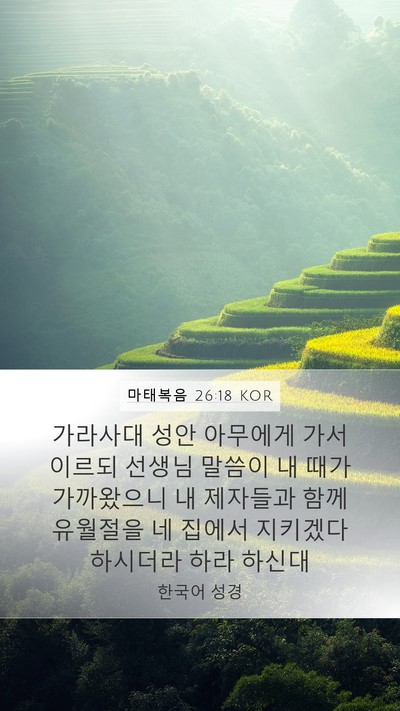 마태복음 26:18 KOR Bible Verse Image