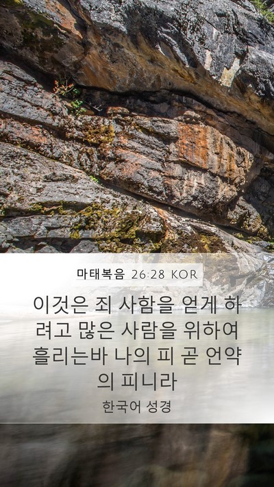 마태복음 26:28 KOR Bible Verse Image