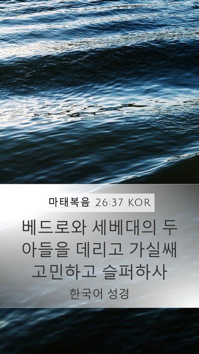 마태복음 26:37 KOR Bible Verse Image