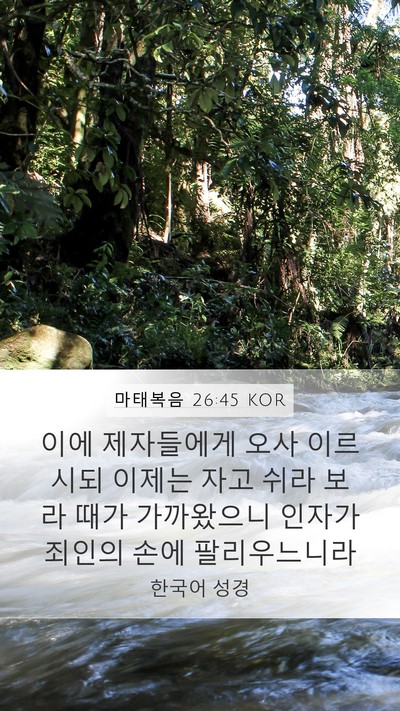 마태복음 26:45 KOR Bible Verse Image