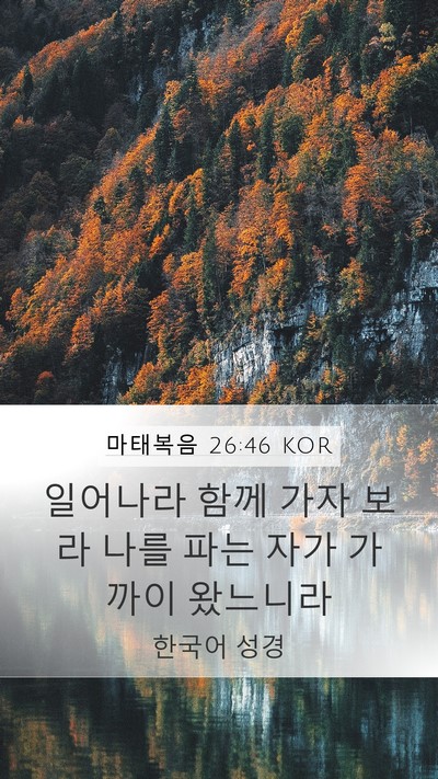 마태복음 26:46 KOR Bible Verse Image