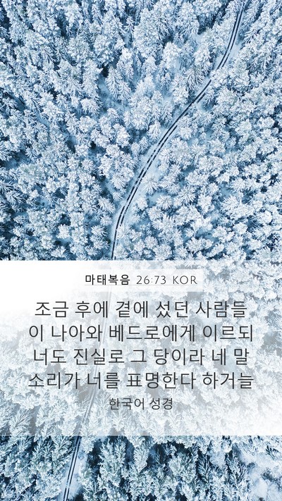 마태복음 26:73 KOR Bible Verse Image