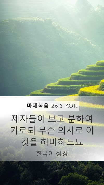 마태복음 26:8 KOR Mobile Phone Wallpaper - 제자들이 보고 분하여 가로되 무슨 - Mobile Bible Verse Wallpaper
