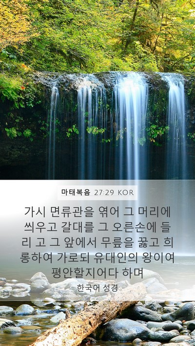 마태복음 27:29 KOR Bible Verse Image