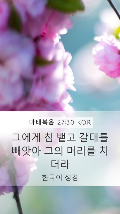 마태복음 27:30 KOR Bible Verse Image