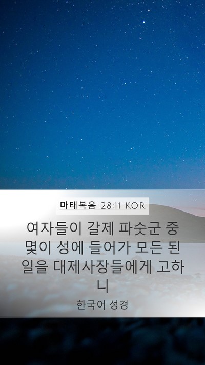 마태복음 28:11 KOR Bible Verse Image