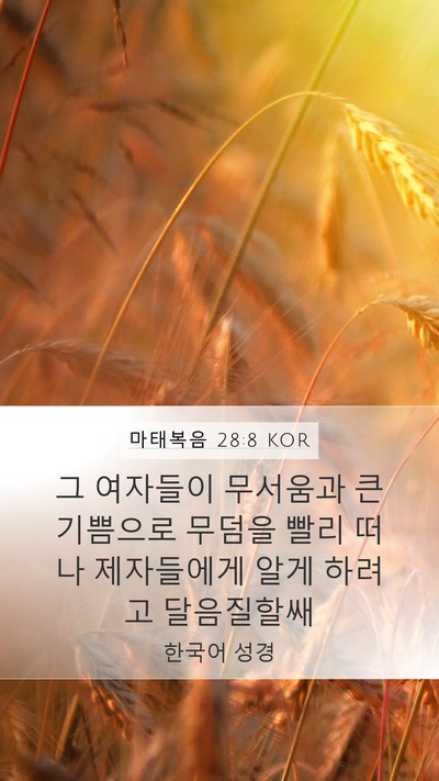 마태복음 28:8 KOR Bible Verse Image