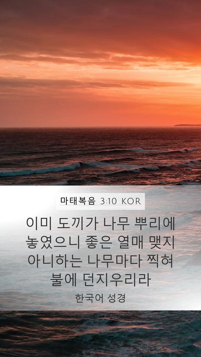 마태복음 3:10 KOR Bible Verse Image