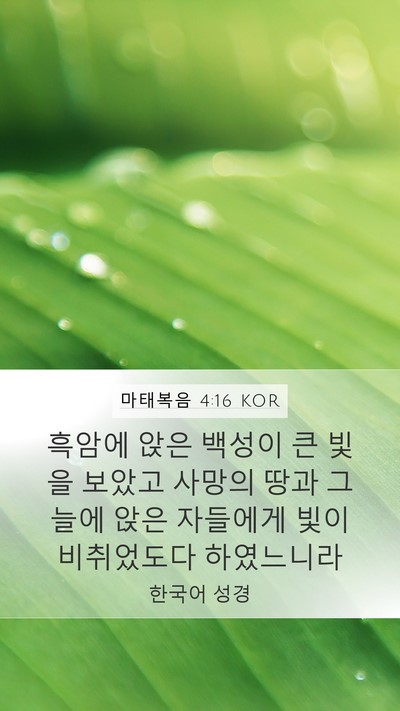 마태복음 4:16 KOR Bible Verse Image