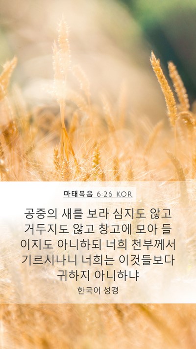 마태복음 6:26 KOR Bible Verse Image