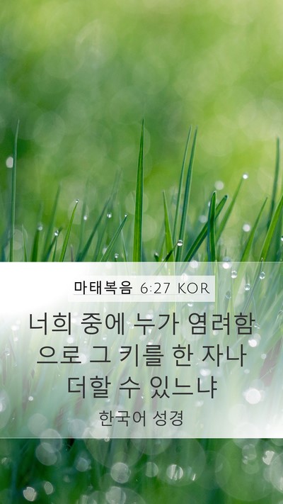 마태복음 6:27 KOR Mobile Phone Wallpaper - 너희 중에 누가 염려함으로 그 키를 - Mobile Bible Verse Wallpaper