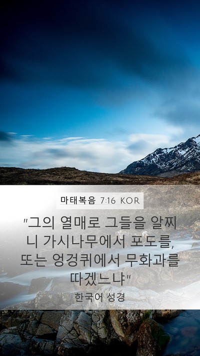 마태복음 7:16 KOR Bible Verse Image