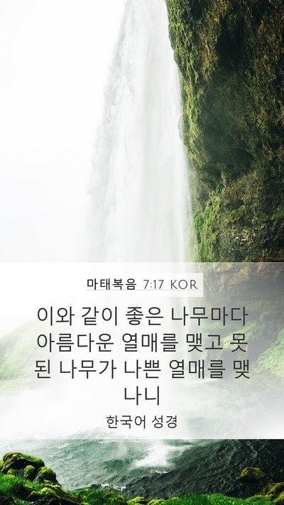 마태복음 7:17 KOR Mobile Phone Wallpaper - 이와 같이 좋은 나무마다 아름다운 - Mobile Bible Verse Wallpaper