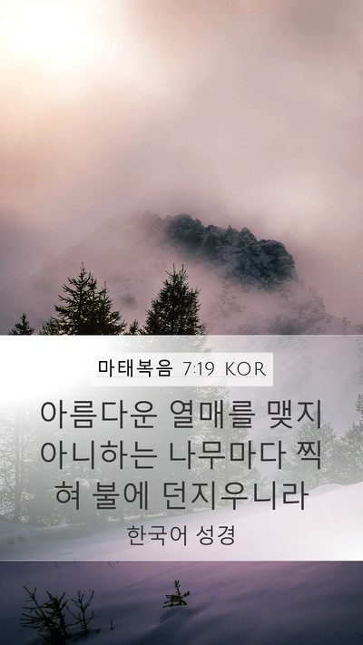 마태복음 7:19 KOR Bible Verse Image