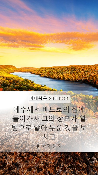 마태복음 8:14 KOR Bible Verse Image