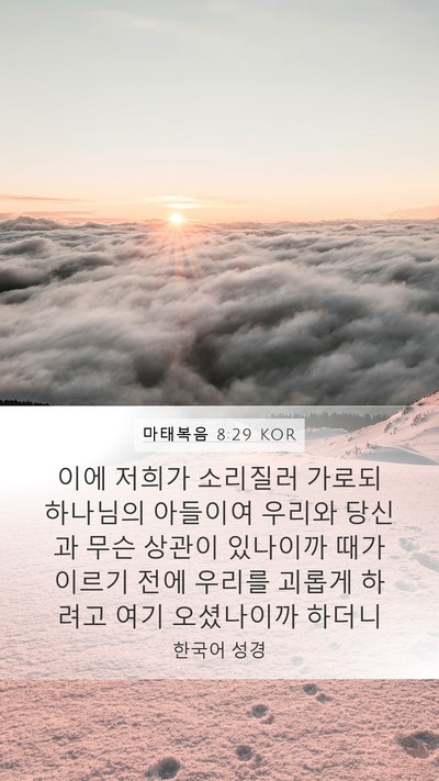 마태복음 8:29 KOR Bible Verse Image