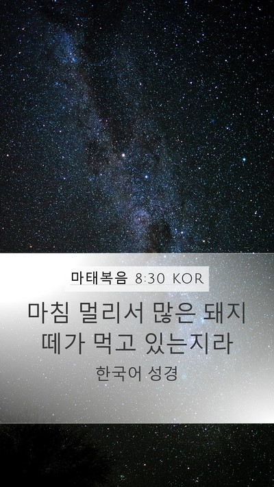 마태복음 8:30 KOR Bible Verse Image