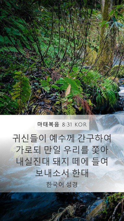 마태복음 8:31 KOR Bible Verse Image