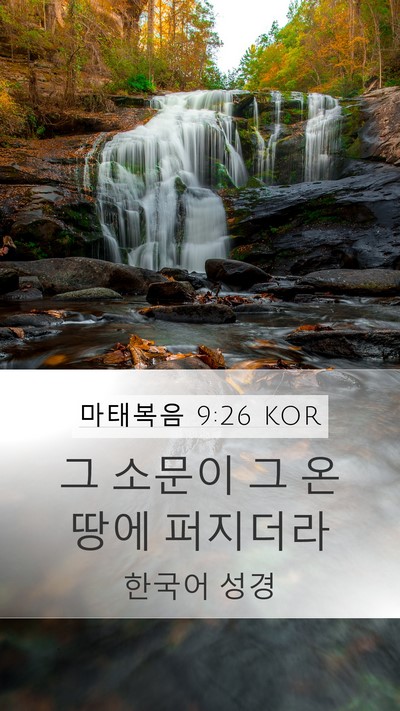 마태복음 9:26 KOR Bible Verse Image