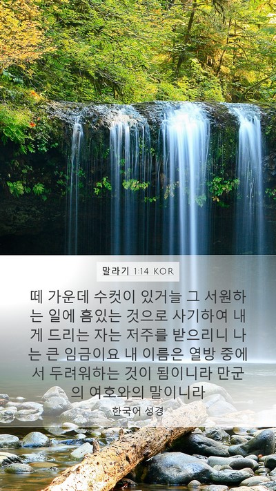 말라기 1:14 KOR Bible Verse Image