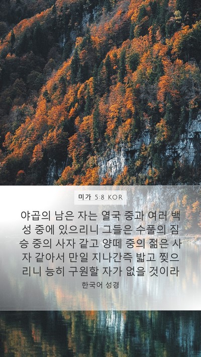 미가 5:8 KOR Bible Verse Image