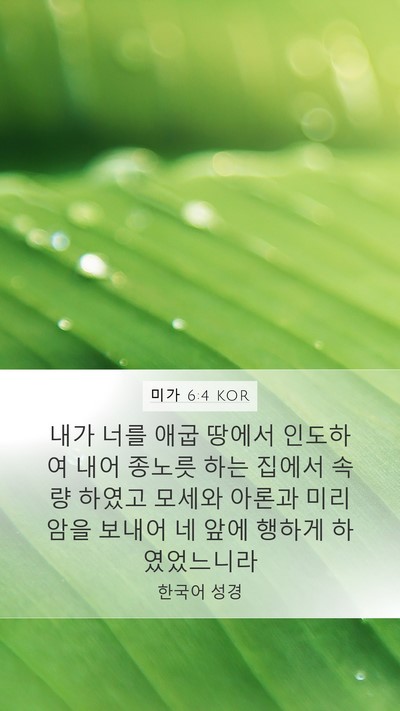 미가 6:4 KOR Bible Verse Image