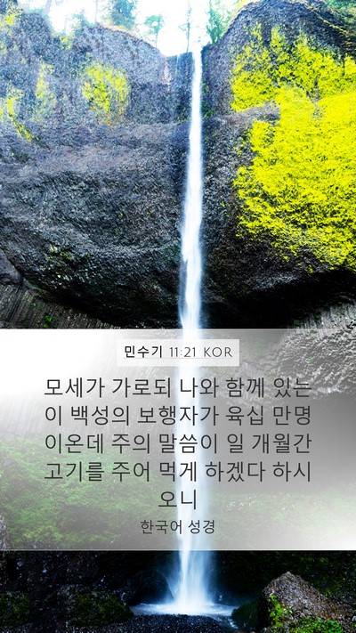 민수기 11:21 KOR Bible Verse Image