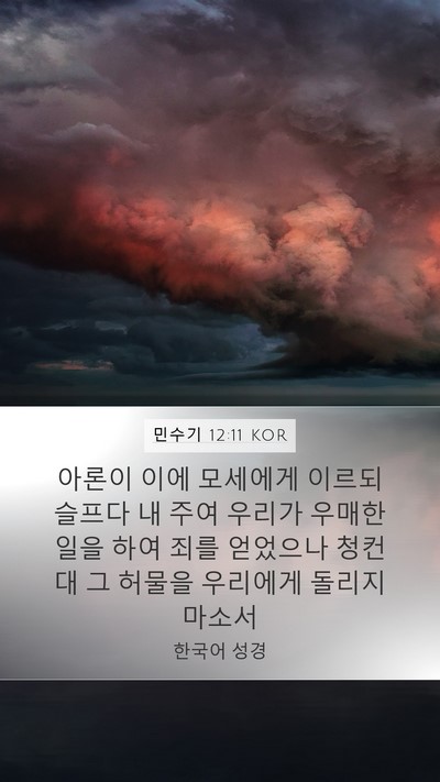 민수기 12:11 KOR Mobile Phone Wallpaper - 아론이 이에 모세에게 이르되 슬프다 - Mobile Bible Verse Wallpaper