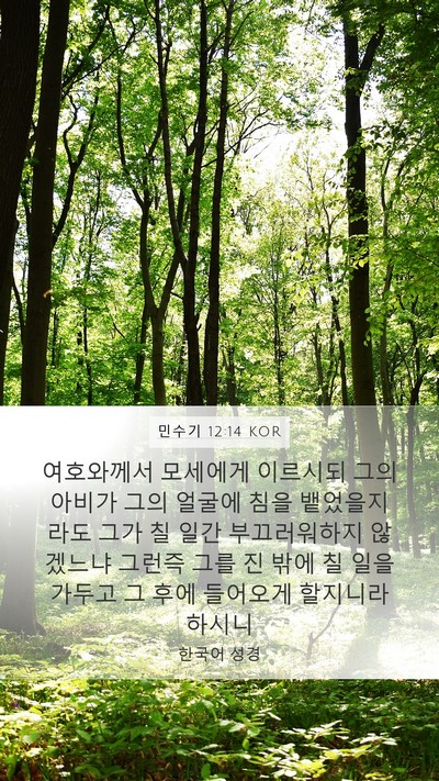 민수기 12:14 KOR Bible Verse Image
