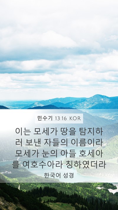 민수기 13:16 KOR Bible Verse Image