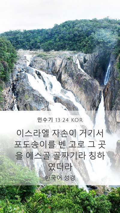 민수기 13:24 KOR Mobile Phone Wallpaper - 이스라엘 자손이 거기서 포도송이를 - Mobile Bible Verse Wallpaper
