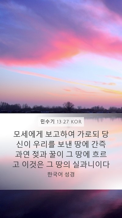 민수기 13:27 KOR Bible Verse Image