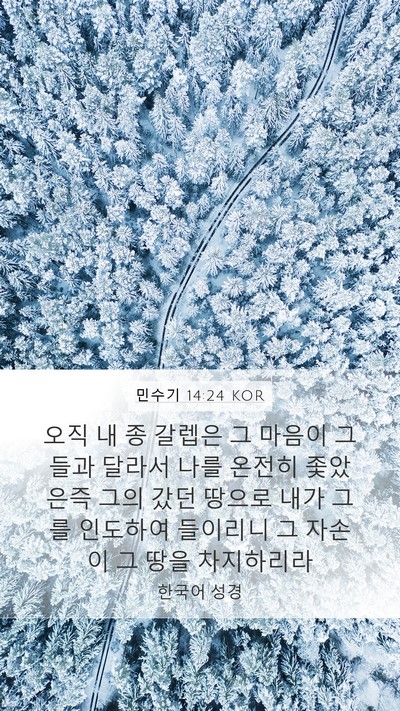민수기 14:24 KOR Bible Verse Image