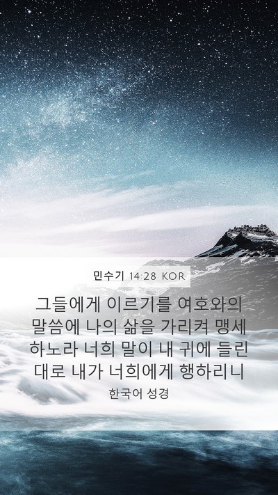 민수기 14:28 KOR Bible Verse Image