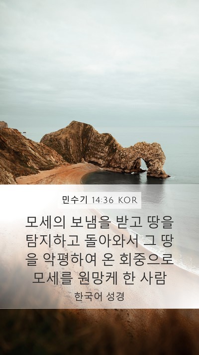 민수기 14:36 KOR Bible Verse Image