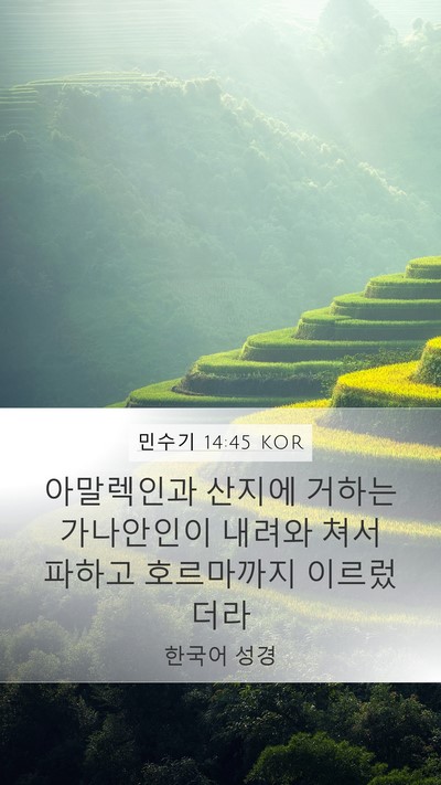 민수기 14:45 KOR Bible Verse Image
