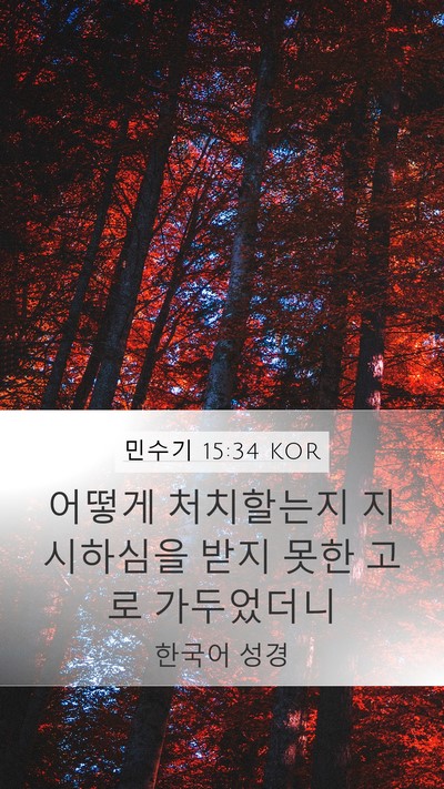 민수기 15:34 KOR Bible Verse Image